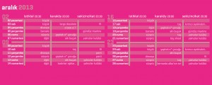 ARALIK 2013