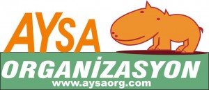 aysa-300x130